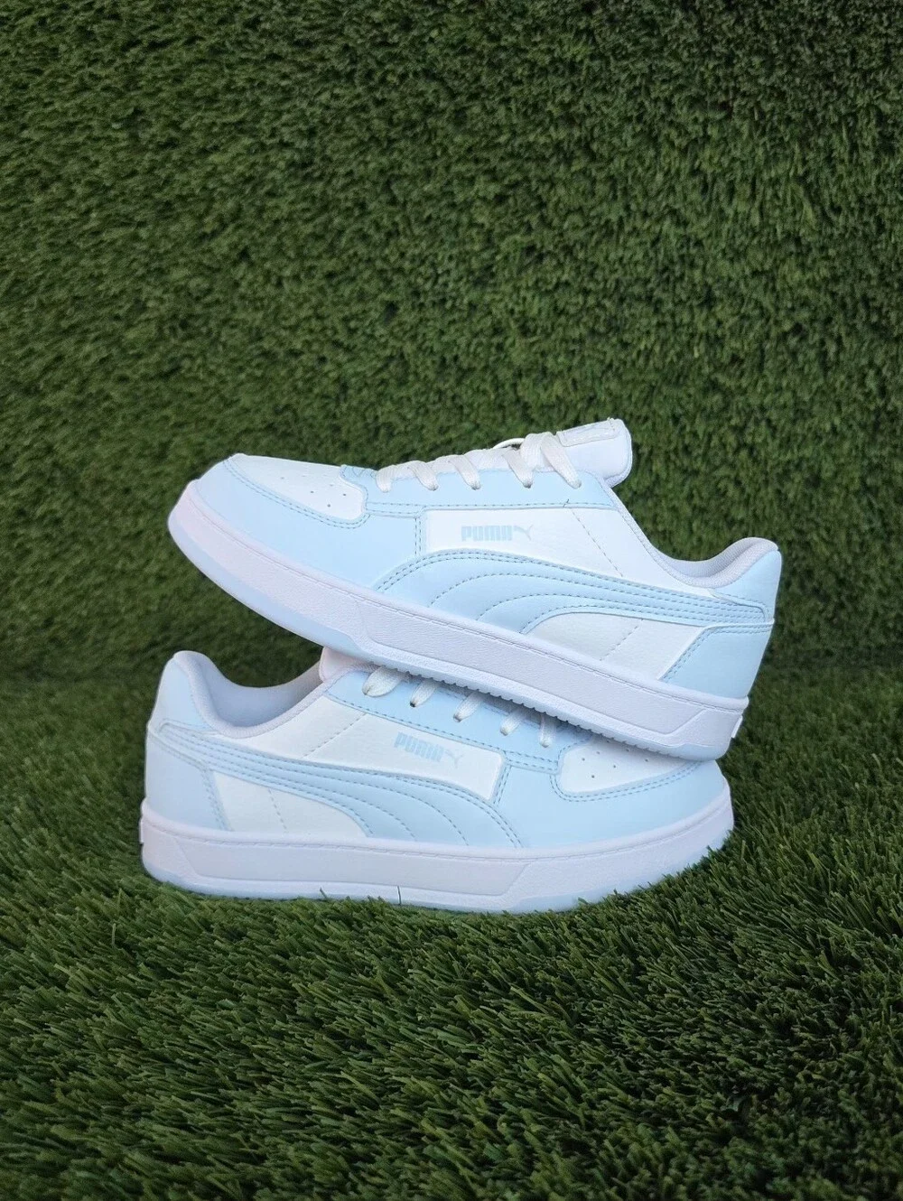 Puma caven low